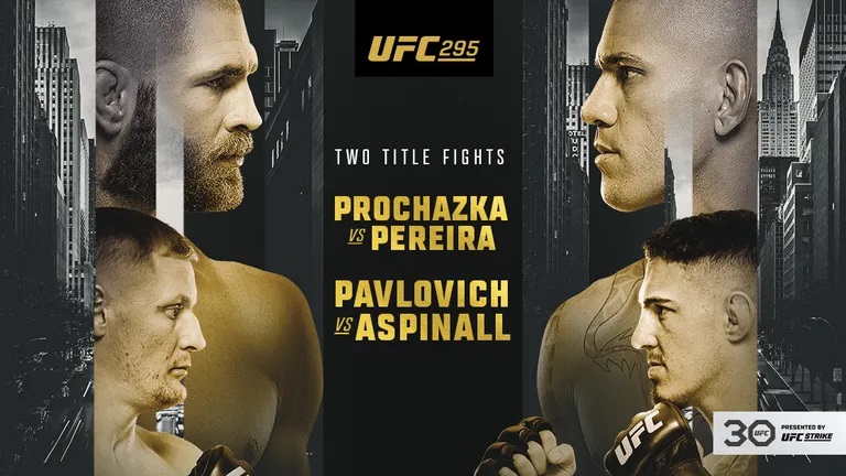 UFC 295 promotional poster showing Prochazka and Pereira.