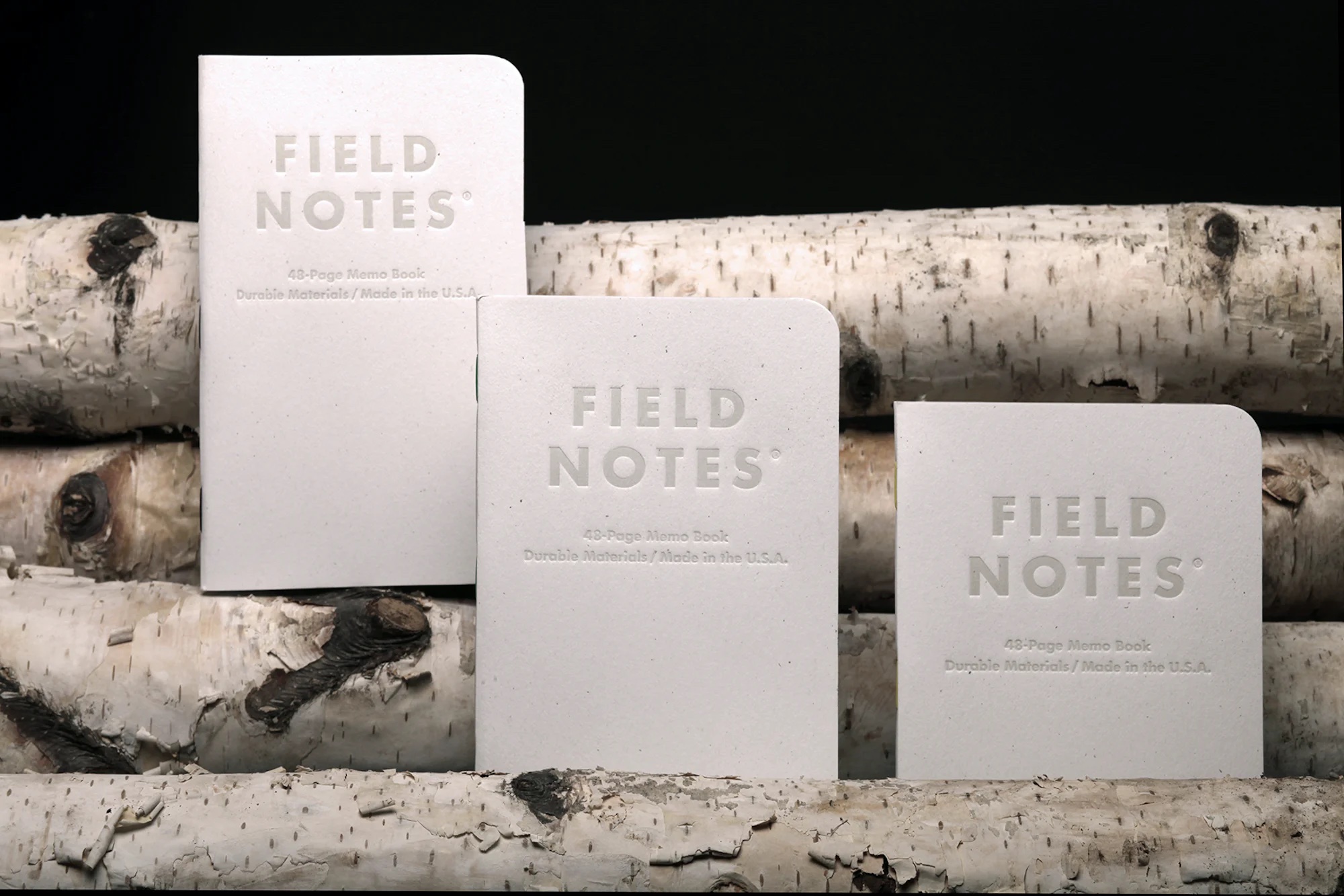 Field Notes by Birch Bark