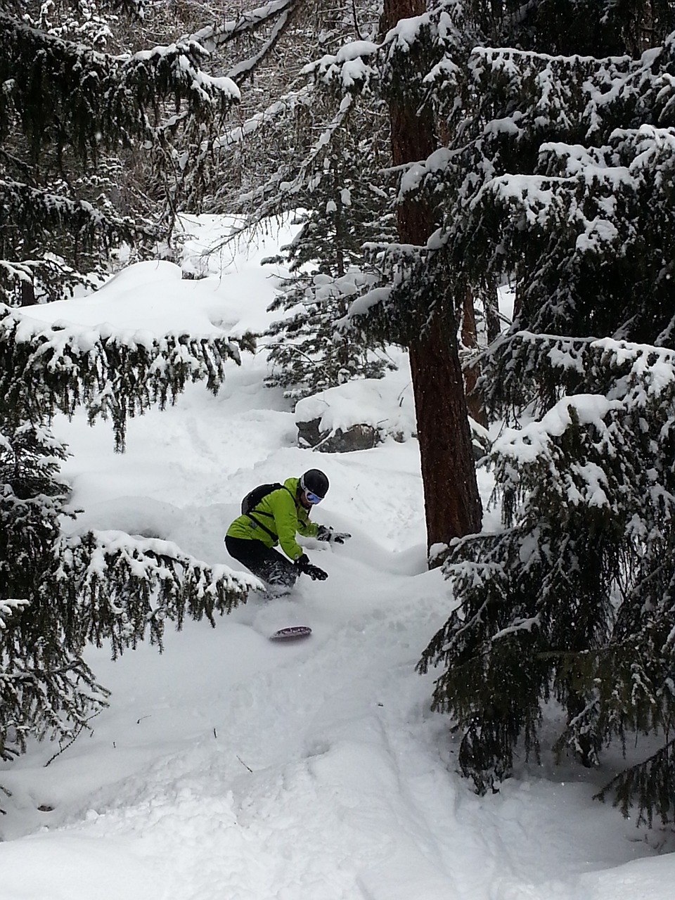 freeride snowboarding through trees