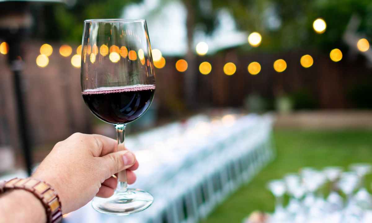 Person holding glass of red wine at party