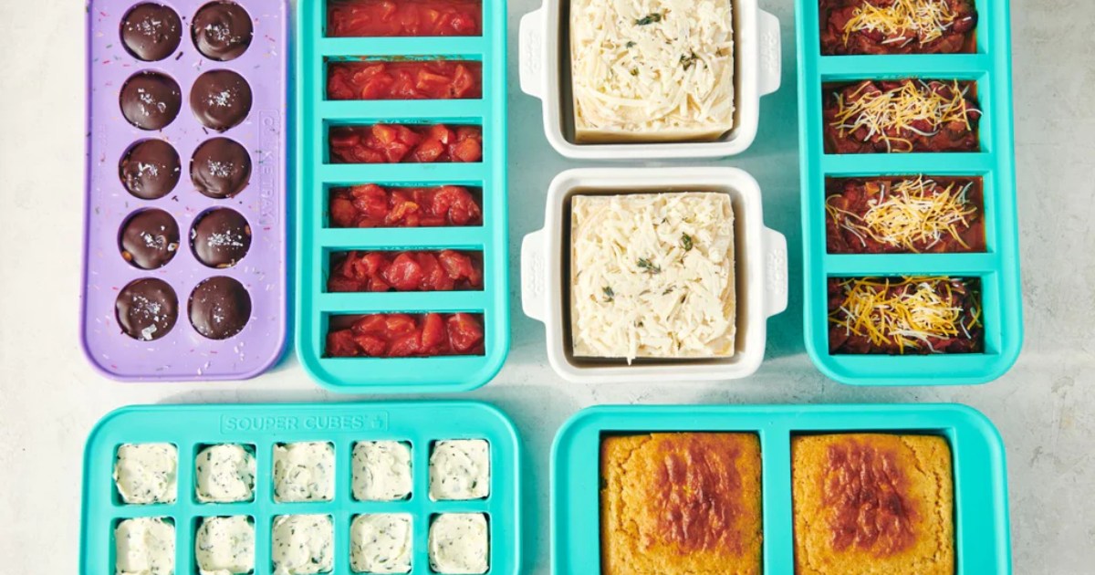 Souper Cubes Review : How to Freeze Food