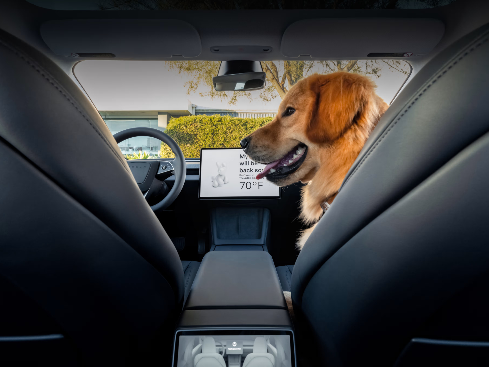 tesla model 3 refresh a dog inside in mode with doors locked  windows closed temperature kept at 70 degrees and message on th