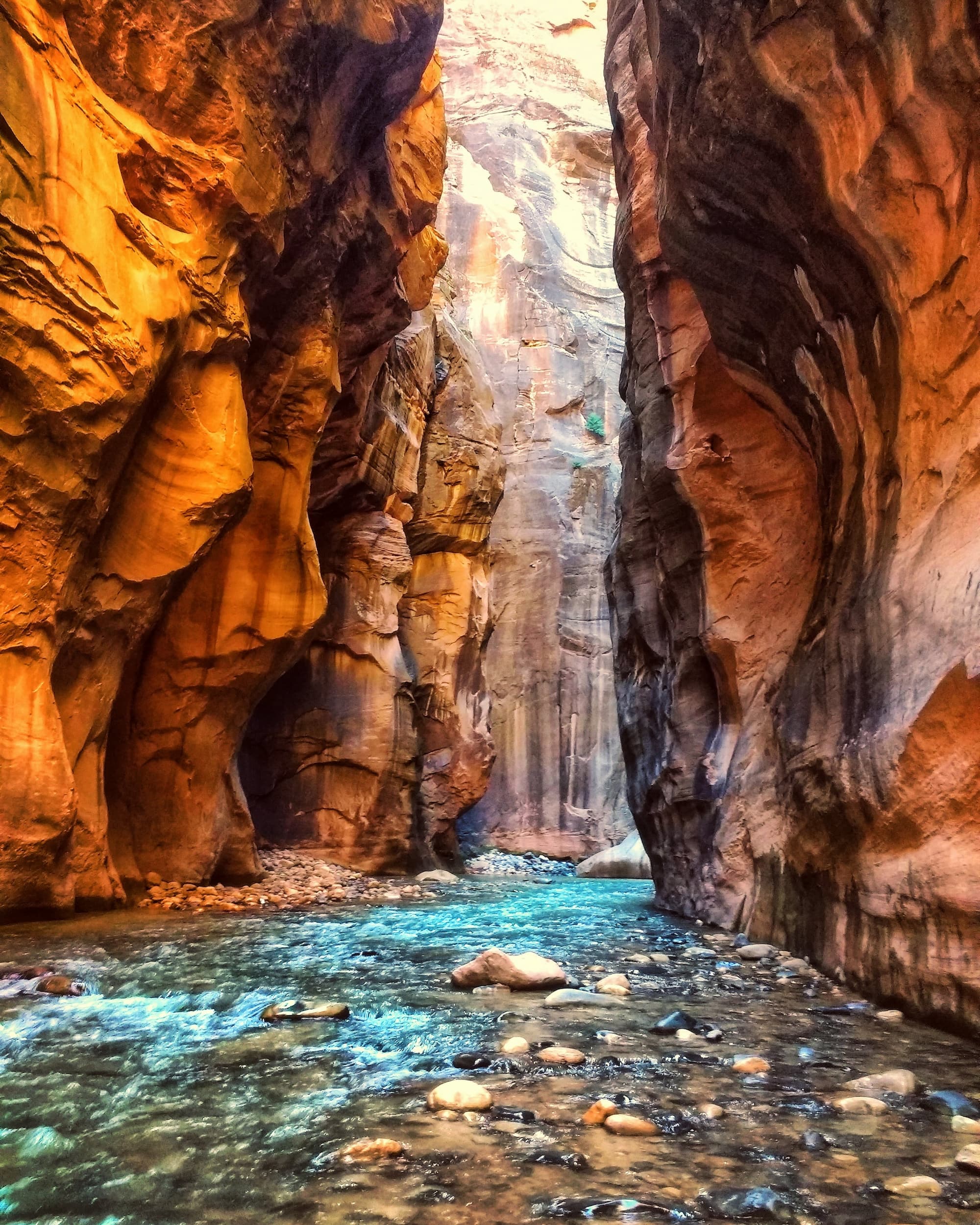 River in Zion National Park