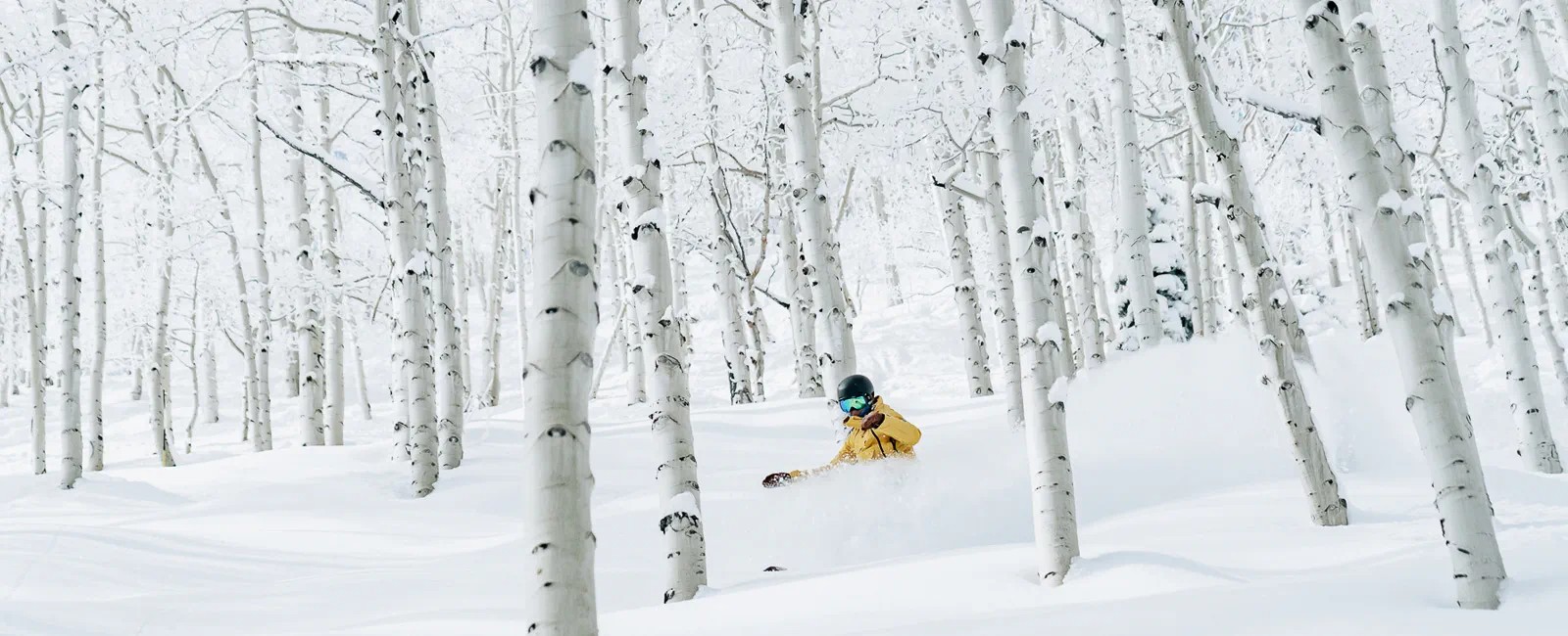 Aspen Mountain powder skiing