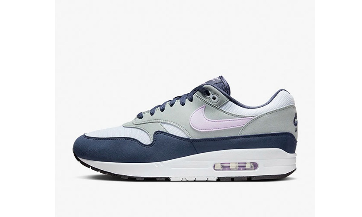 The Nike Air Max 1 on a white background.