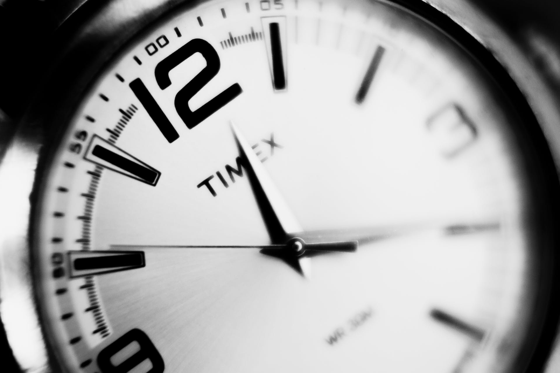 closeup on Timex logo
