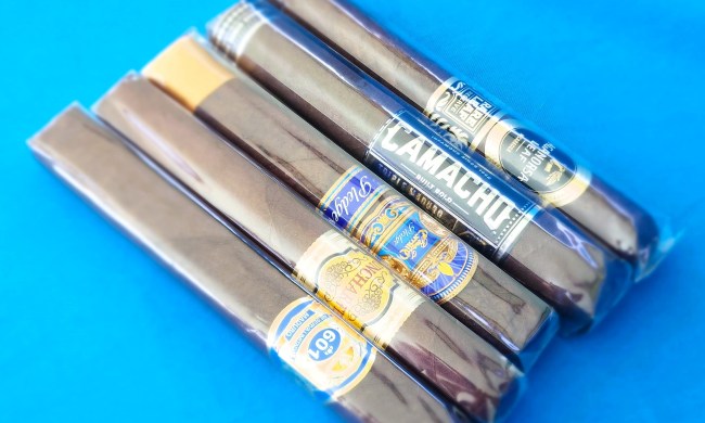 Maduro cigars in a lineup ready to smoke.