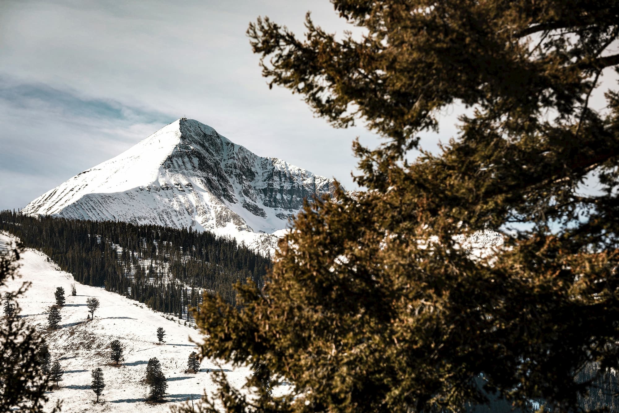 green and brown trees on a snow covered mountain during the day