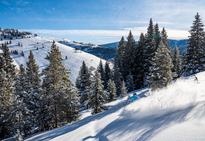 Skiing open powder fields at Vail, CO