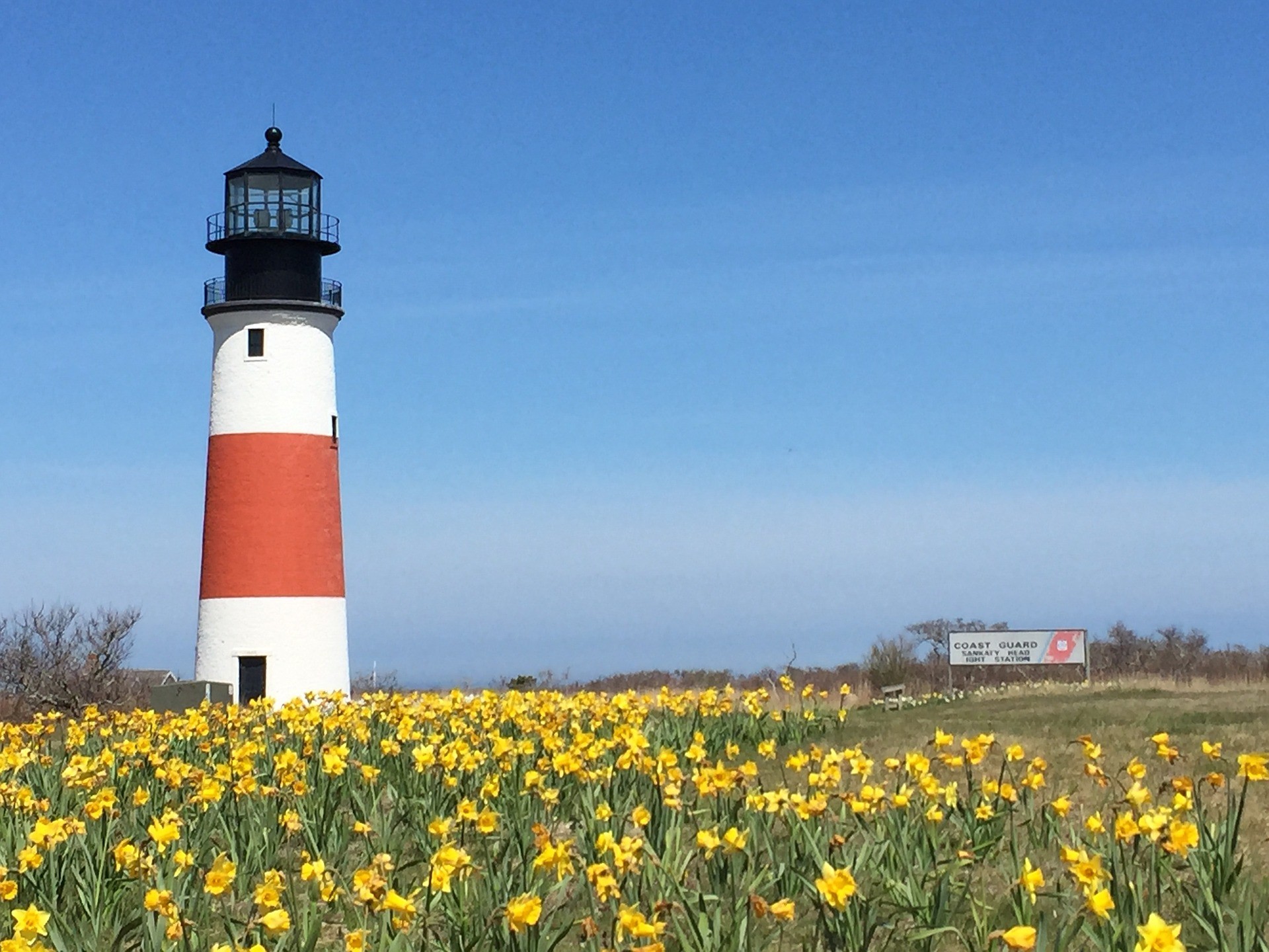 Nantucket lighthouse and daffodils