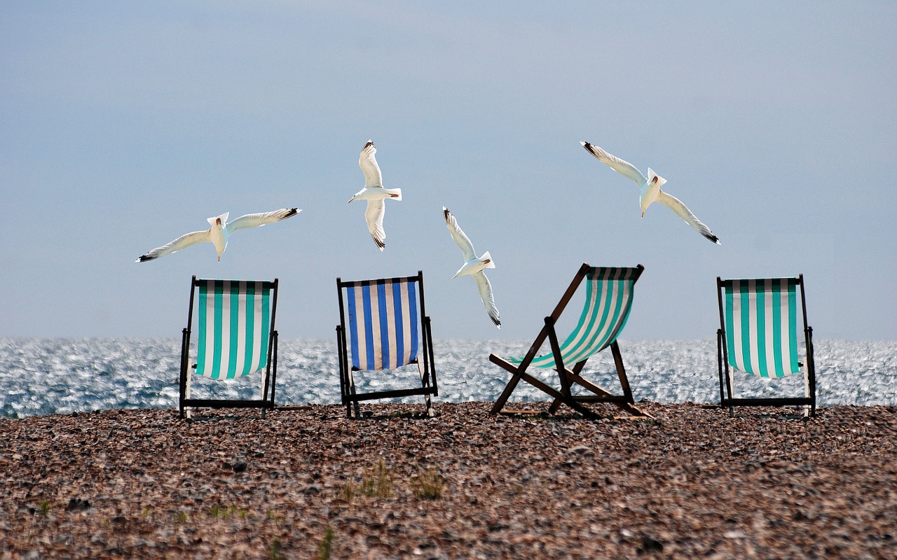Beach Chairs