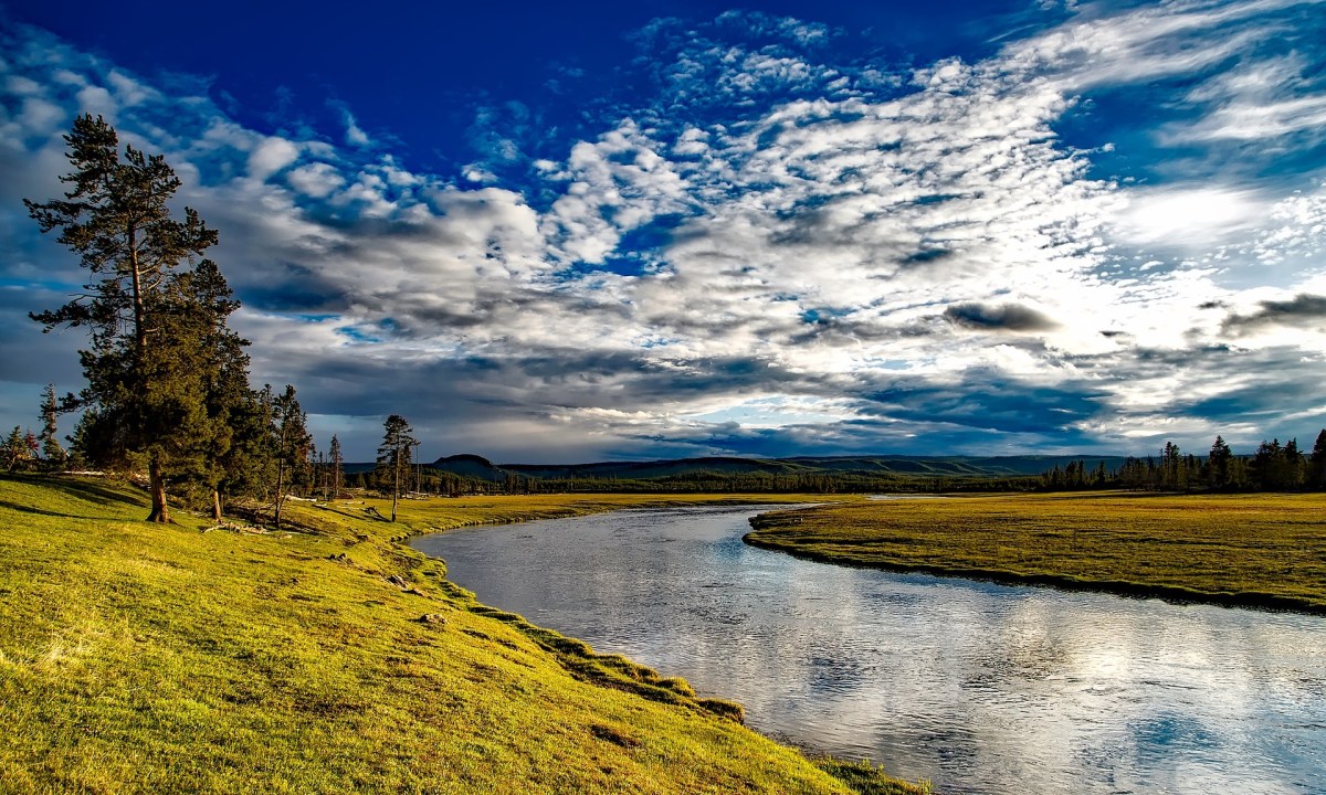 A river flowing through Yellowstone National Park