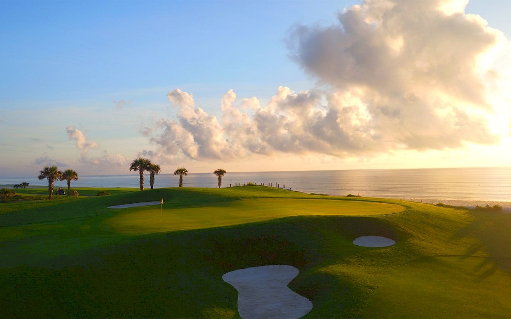 Palm trees by the ocean at Hammock Beach