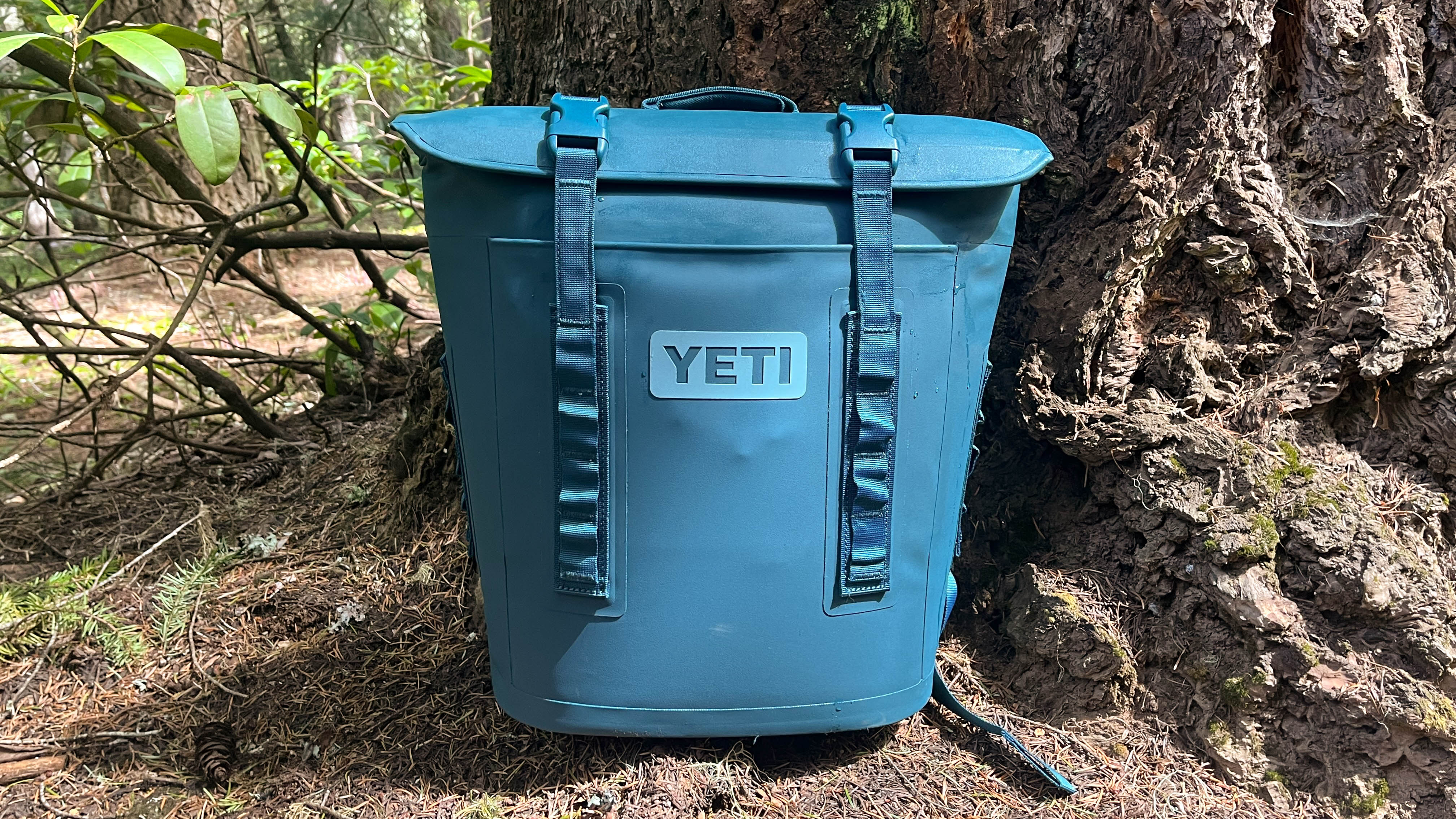 The Yeti Hopper M12 Backpack Soft Cooler sitting against a tree.