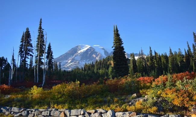 Mount Rainier, Washington state