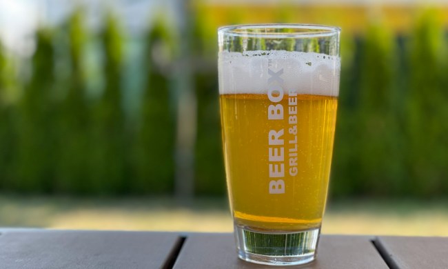 beer