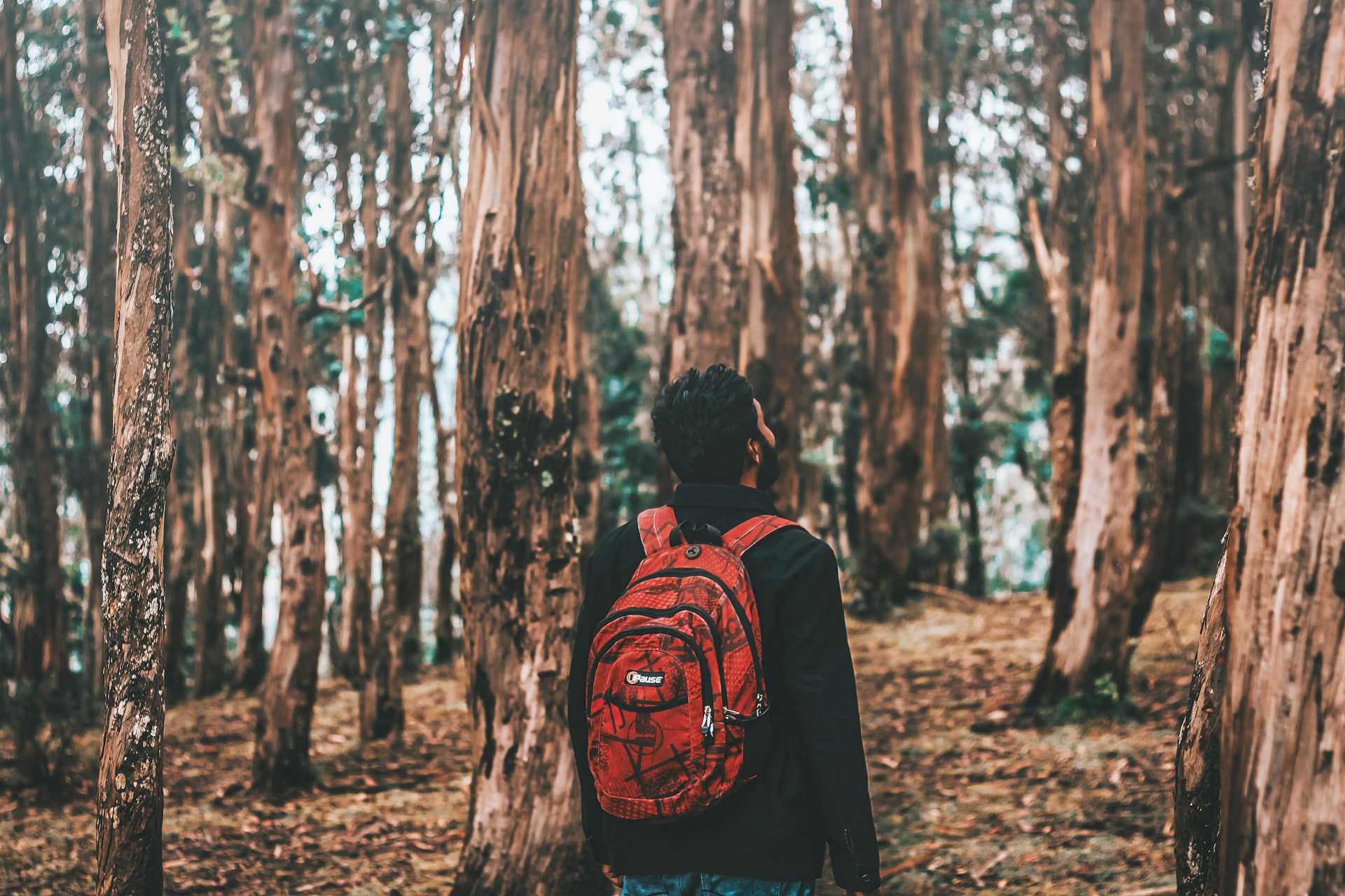 A man looking up in the woods, seemingly lost