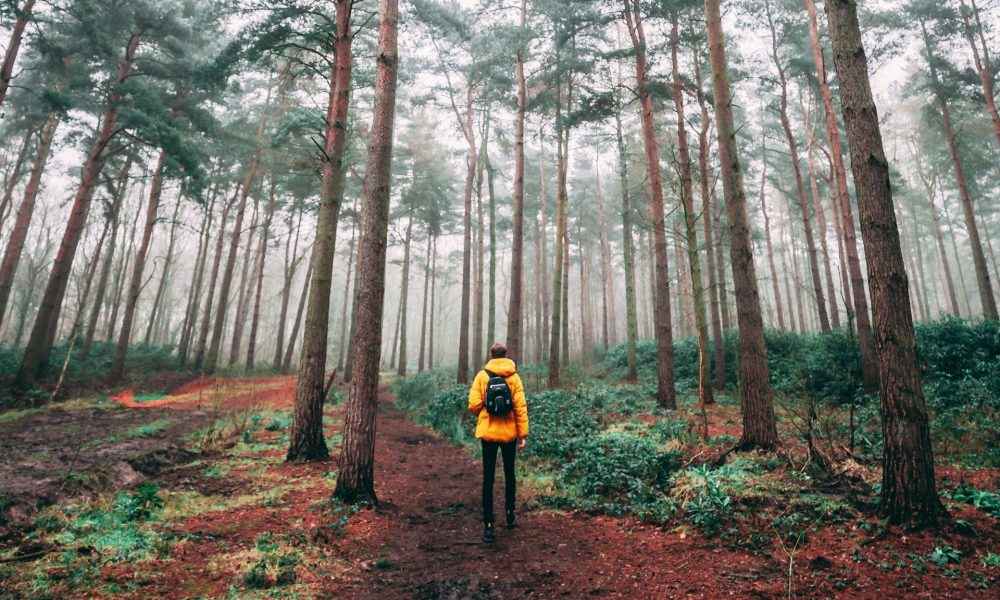 Man wearing yellow jacket and backpack hiking or rucking in forest or woods with tall trees