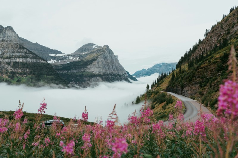 Glacier National Park morning mist over road