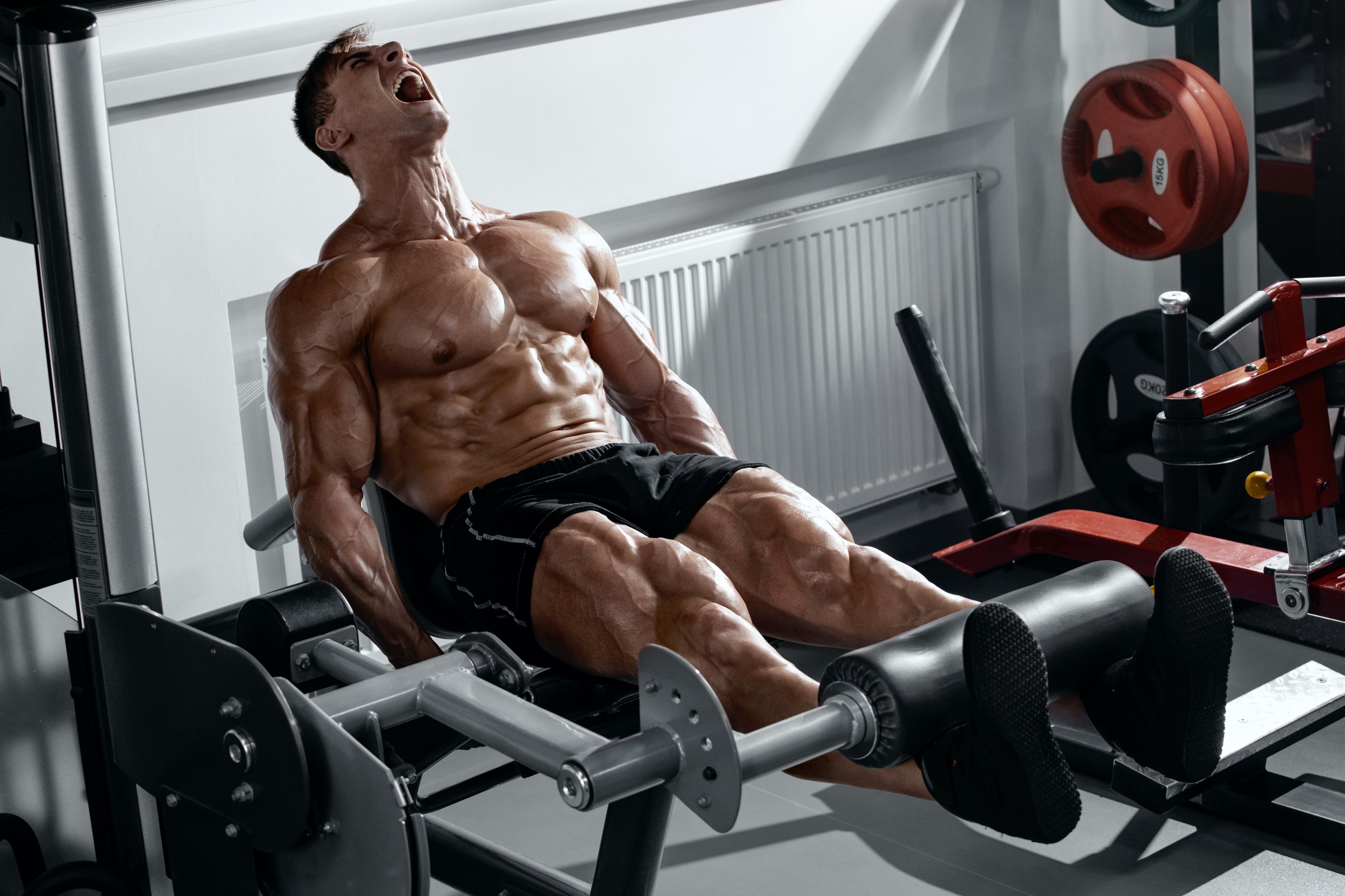 How to do leg extensions: Instructions, benefits, and more - The Manual