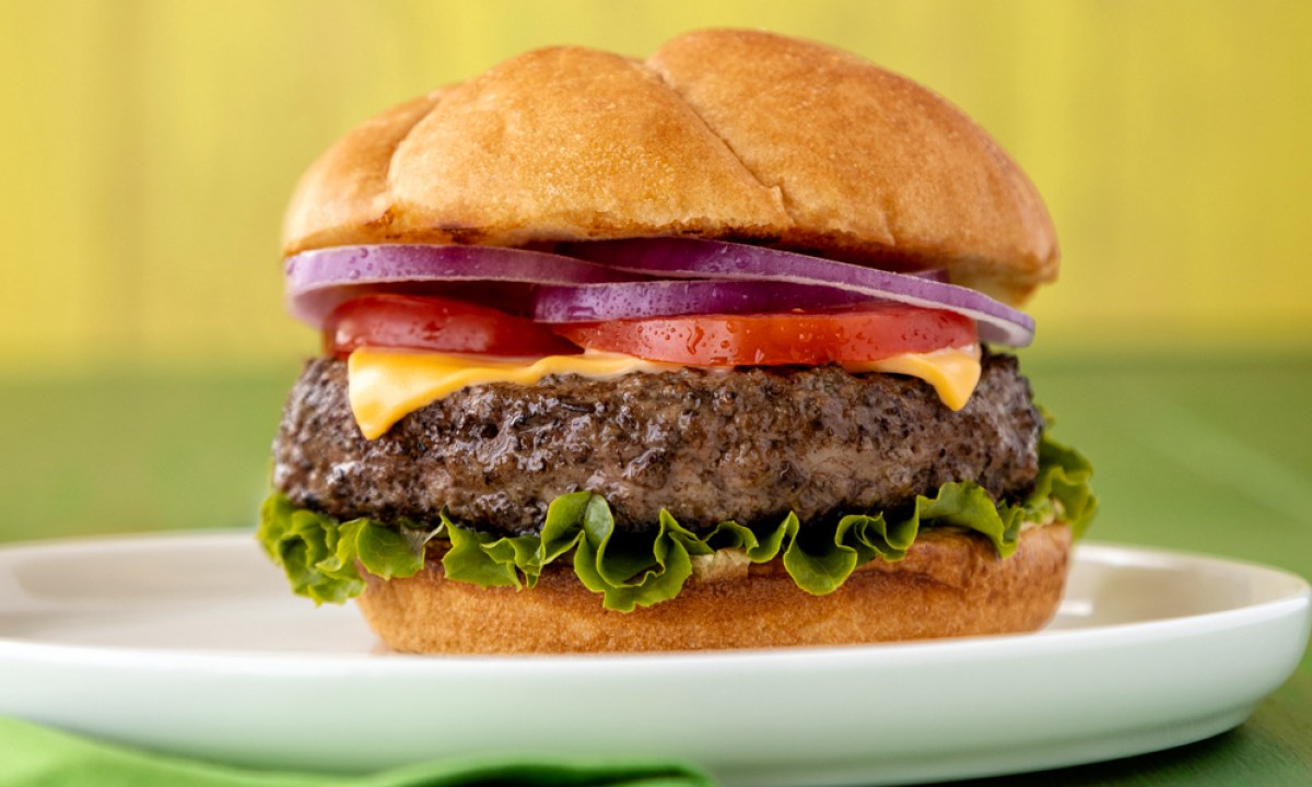Cheeseburger on a white plate - Verde Farms grass-fed cheeseburger