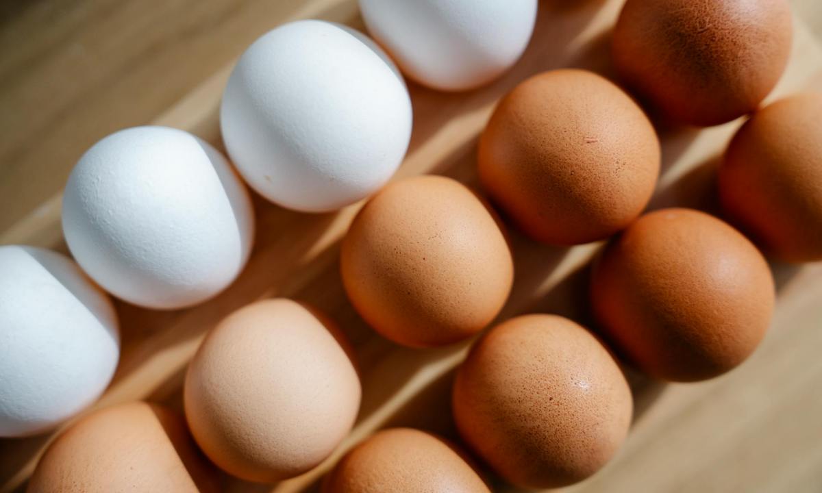 Eggs of different shades of white and brown sitting in carton