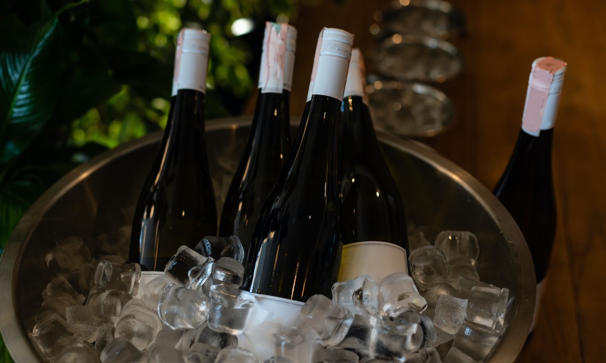 Bucket of wine bottles at a backyard party.