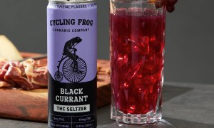 Cycling Frog Black Currant flavor free seltzer deal with THC and CBD