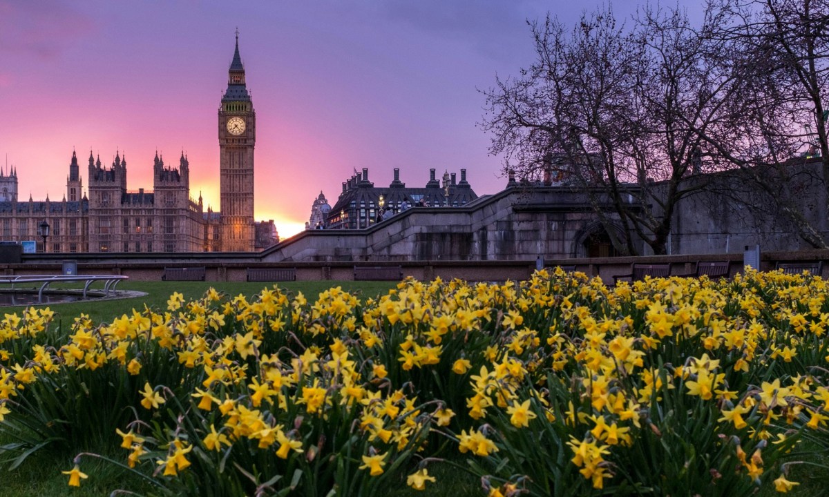 London flowers and buildings, Westminster, London, United Kingdom