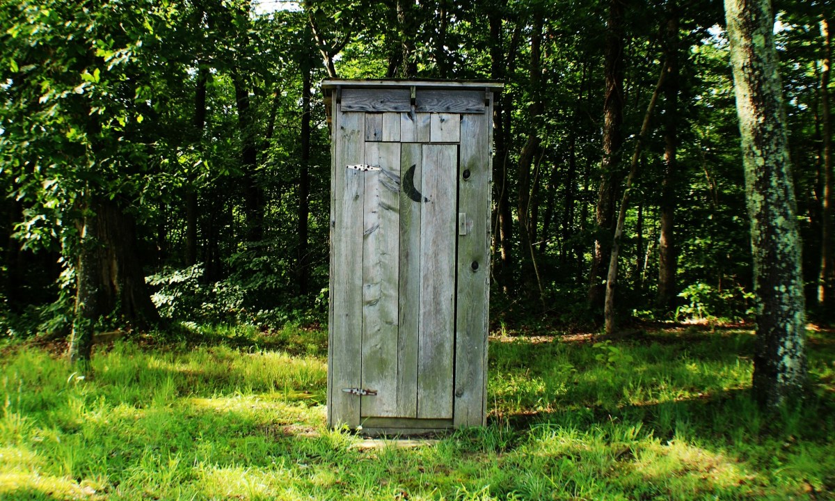 Wooden Outhouse in the woods, for why do cigars make you poop?