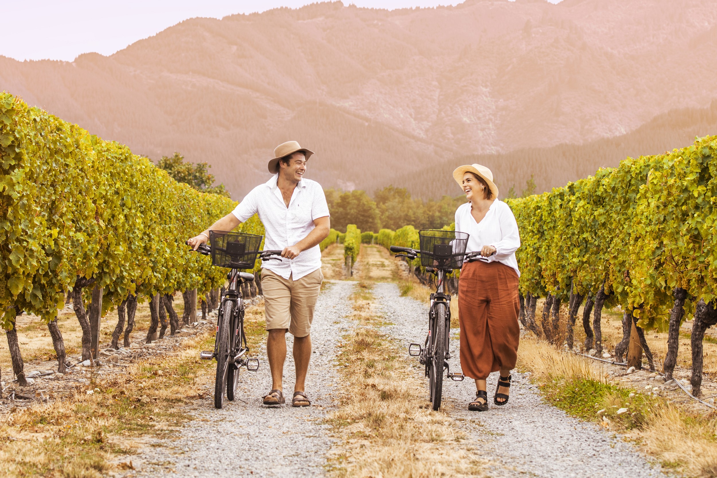 Vineyard bike tour hotsell