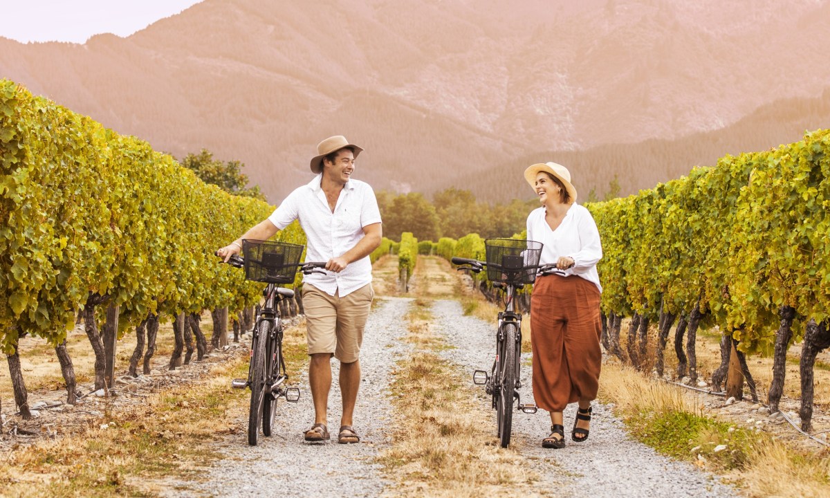 best states for vineyard cycling 03 santa barbara  united photo by erwin vina via unsplash