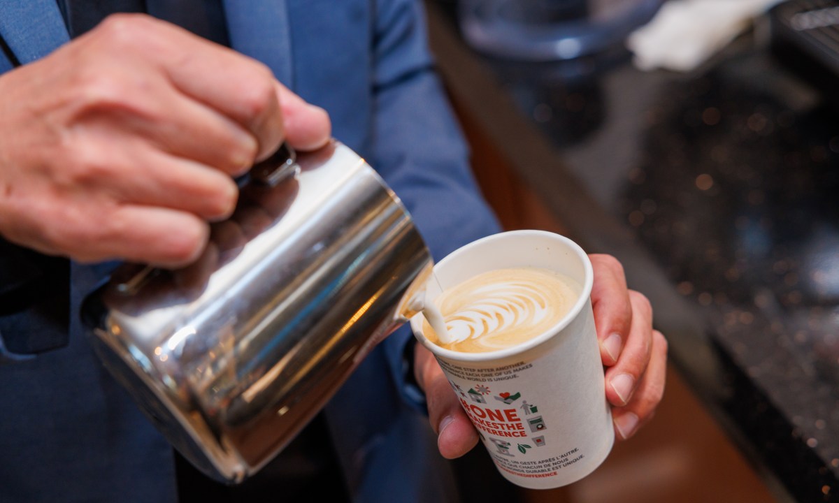 what is the best milk for coffee patrick gray kabikphotogroup com 2