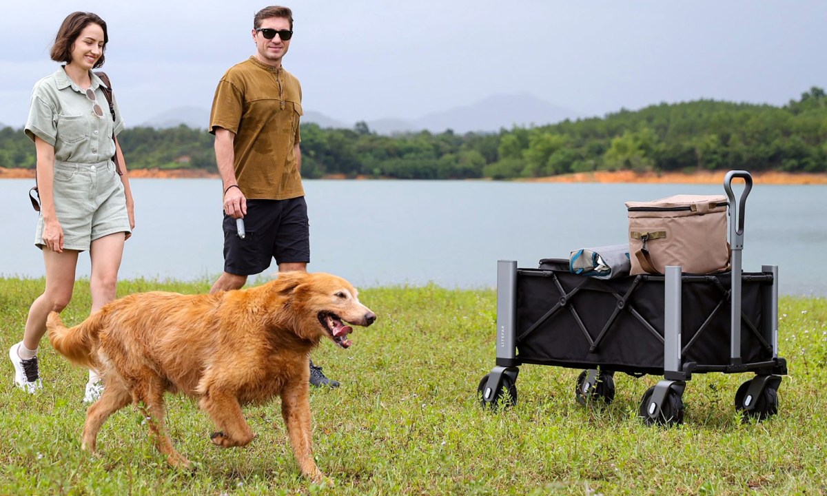 Young couple walking with their dog alongside a Litefar Orion smart wagon.