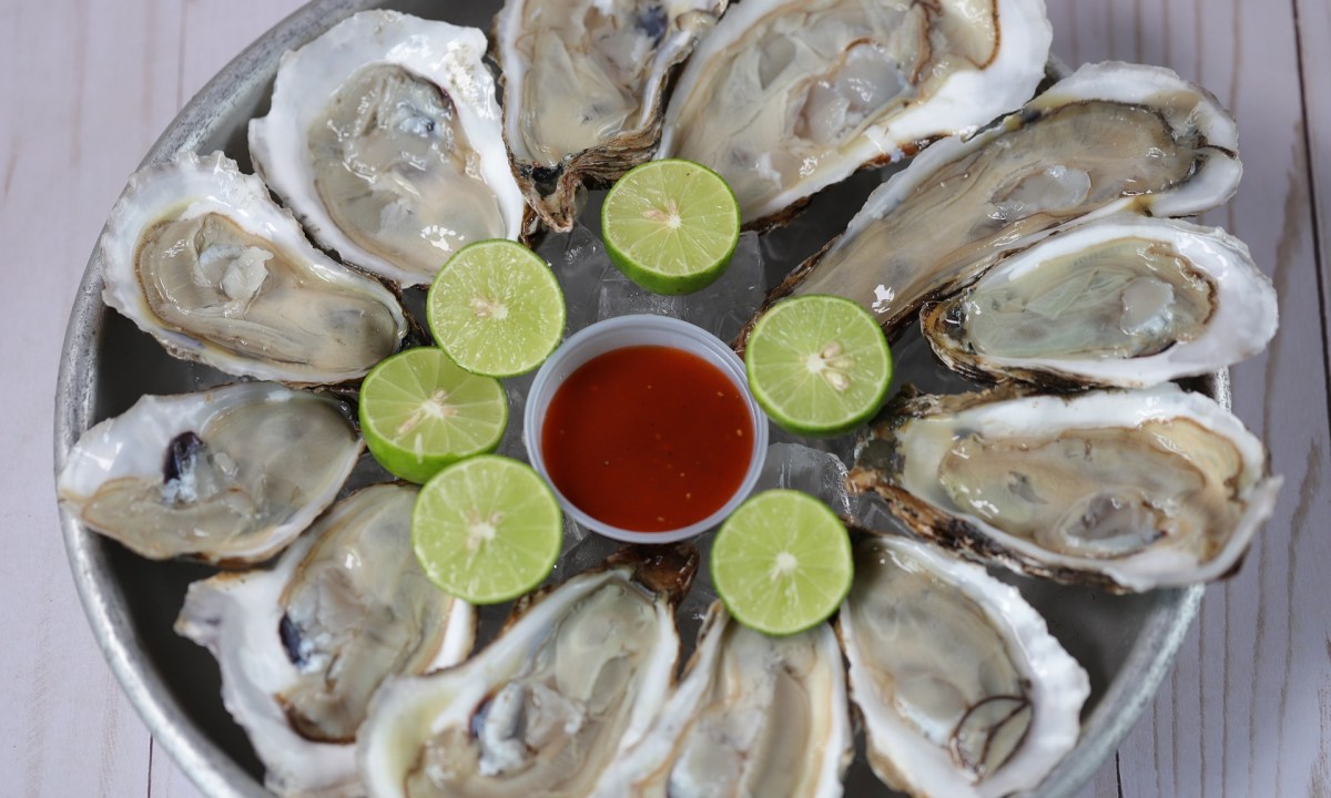 Oysters