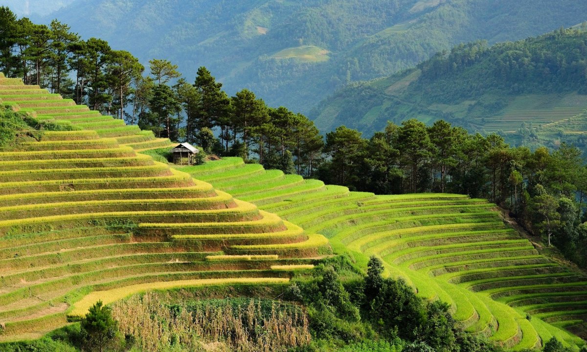 Vietnam