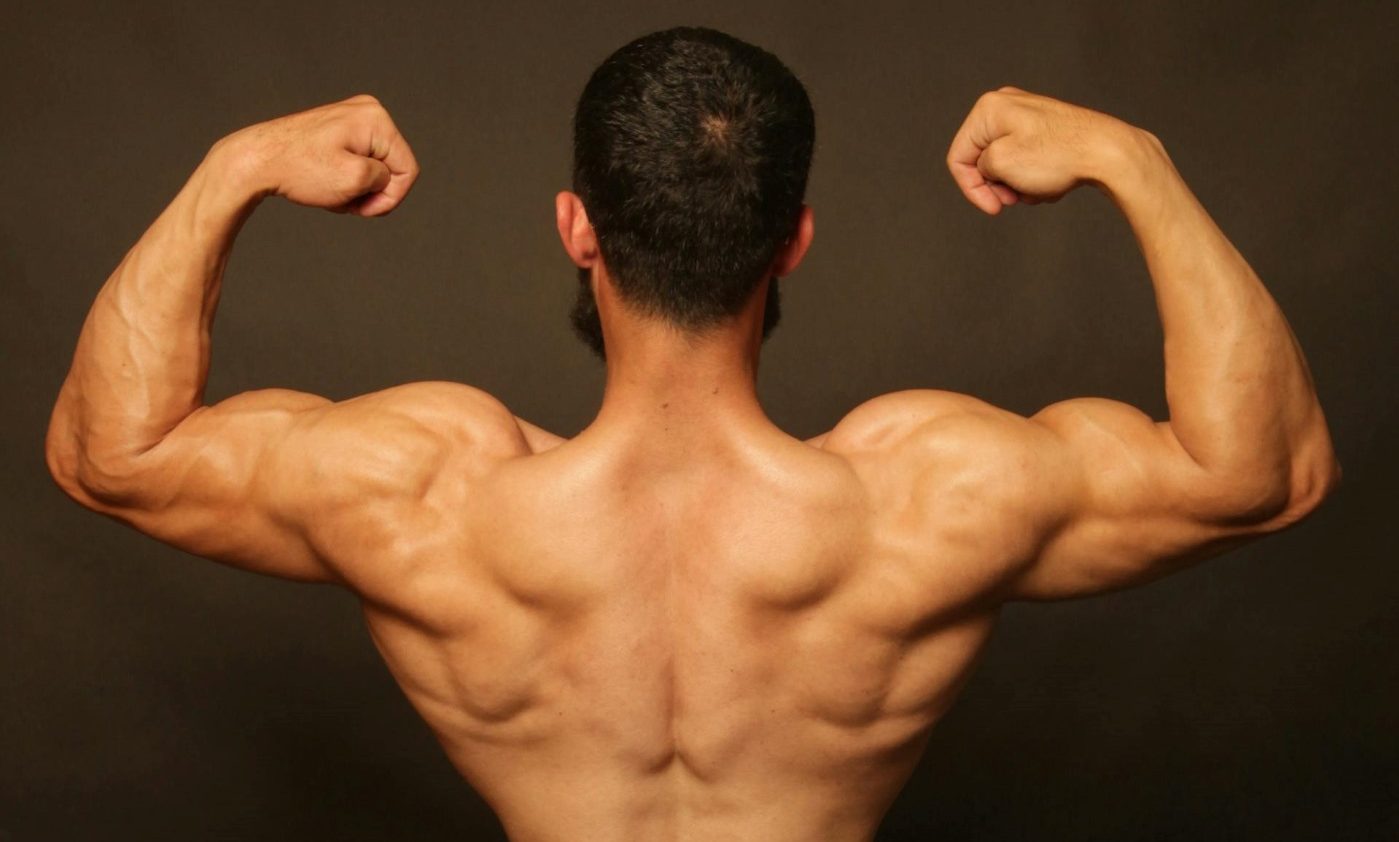 Shirtless man flexing muscle muscular back arms triceps