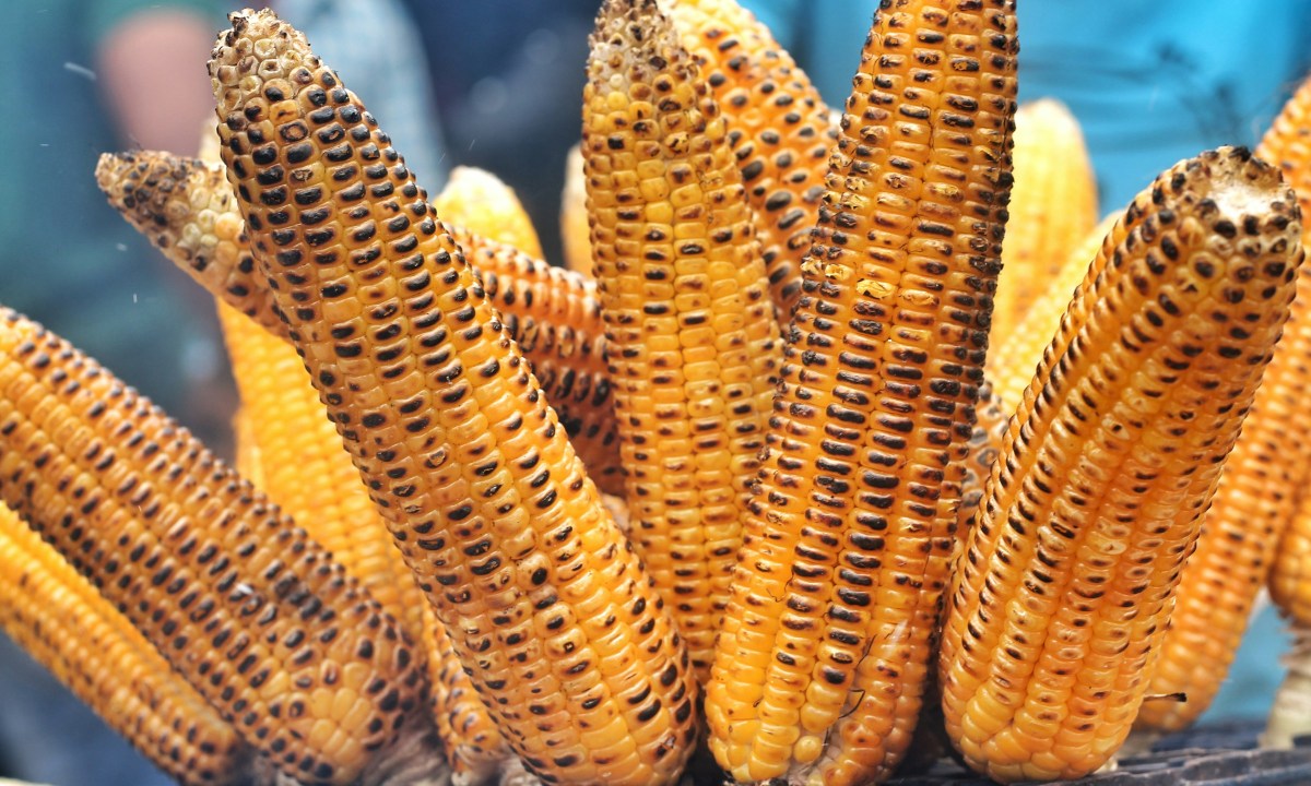 corn cocktail trend prasad sn weccm eznbw unsplash