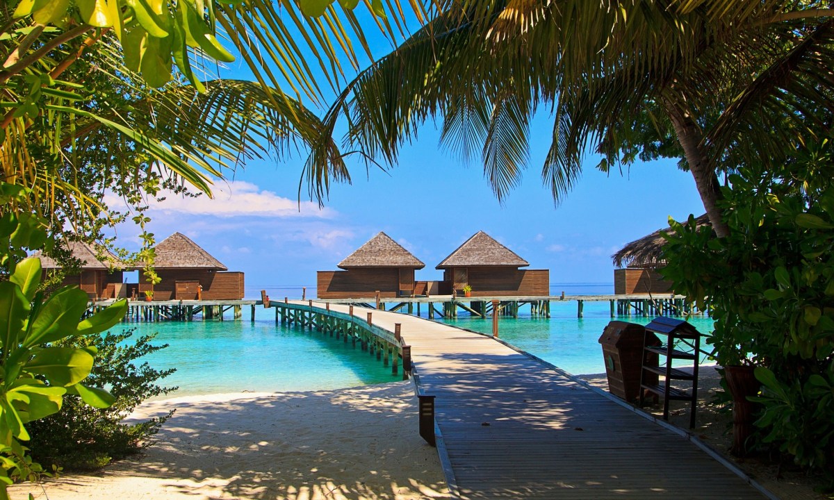 The Maldives