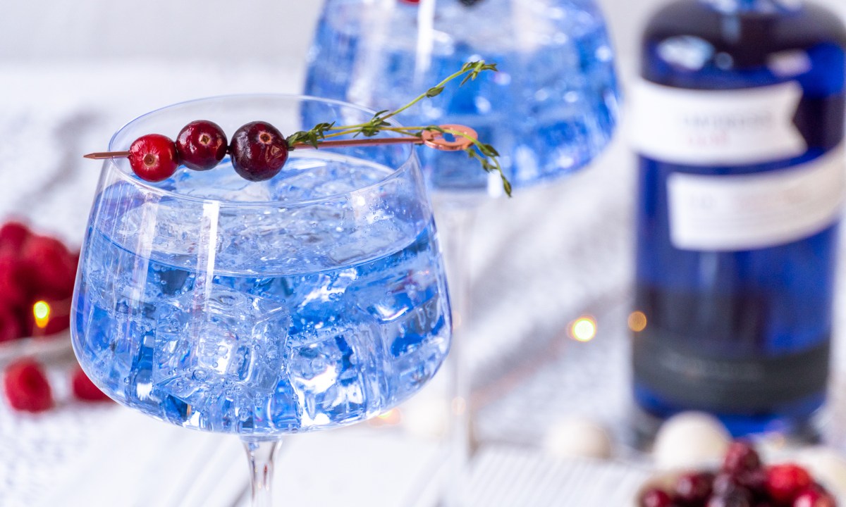 stunning gin cocktails winterberrysodav2 11
