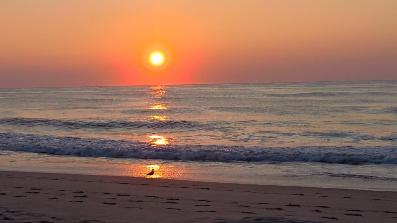 Ocean City Beach Maryland