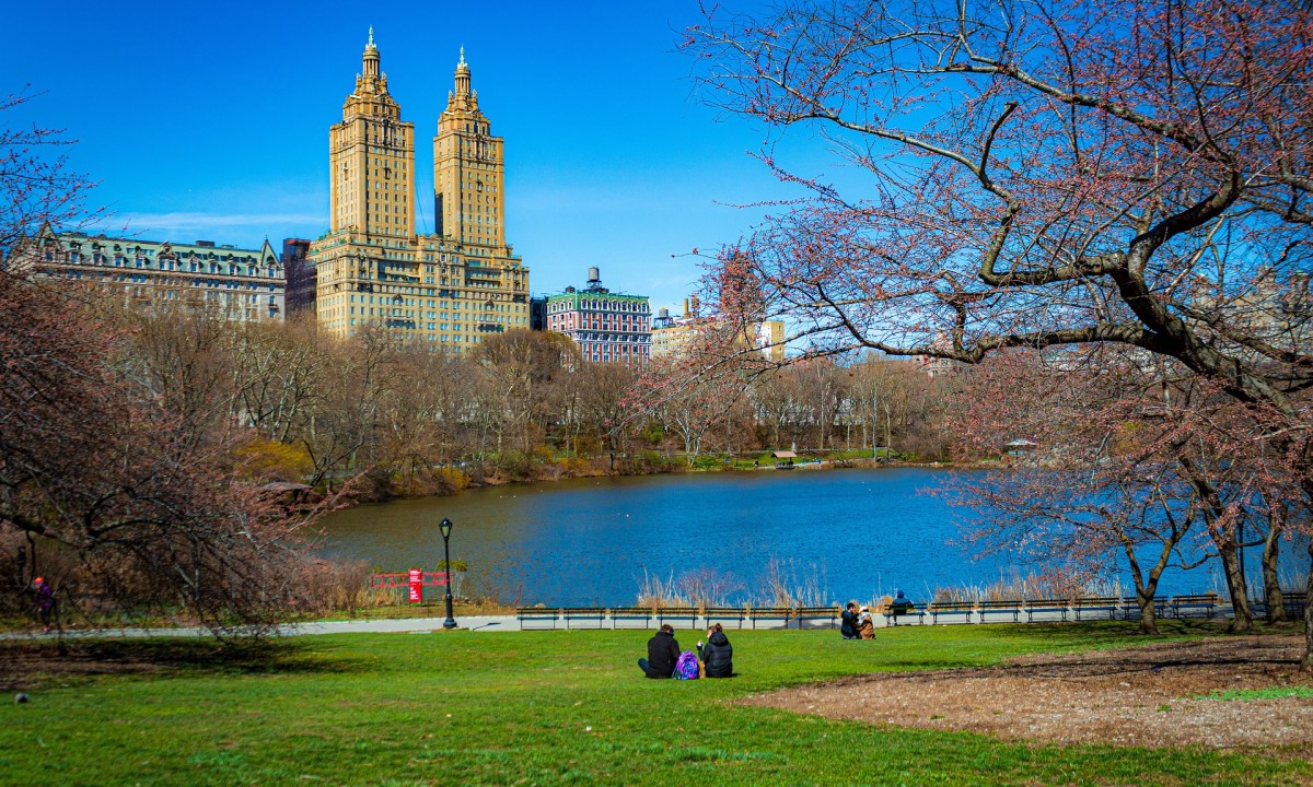 Central Park