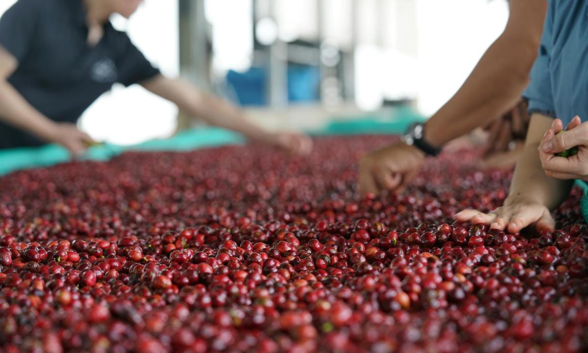 Coffee farming