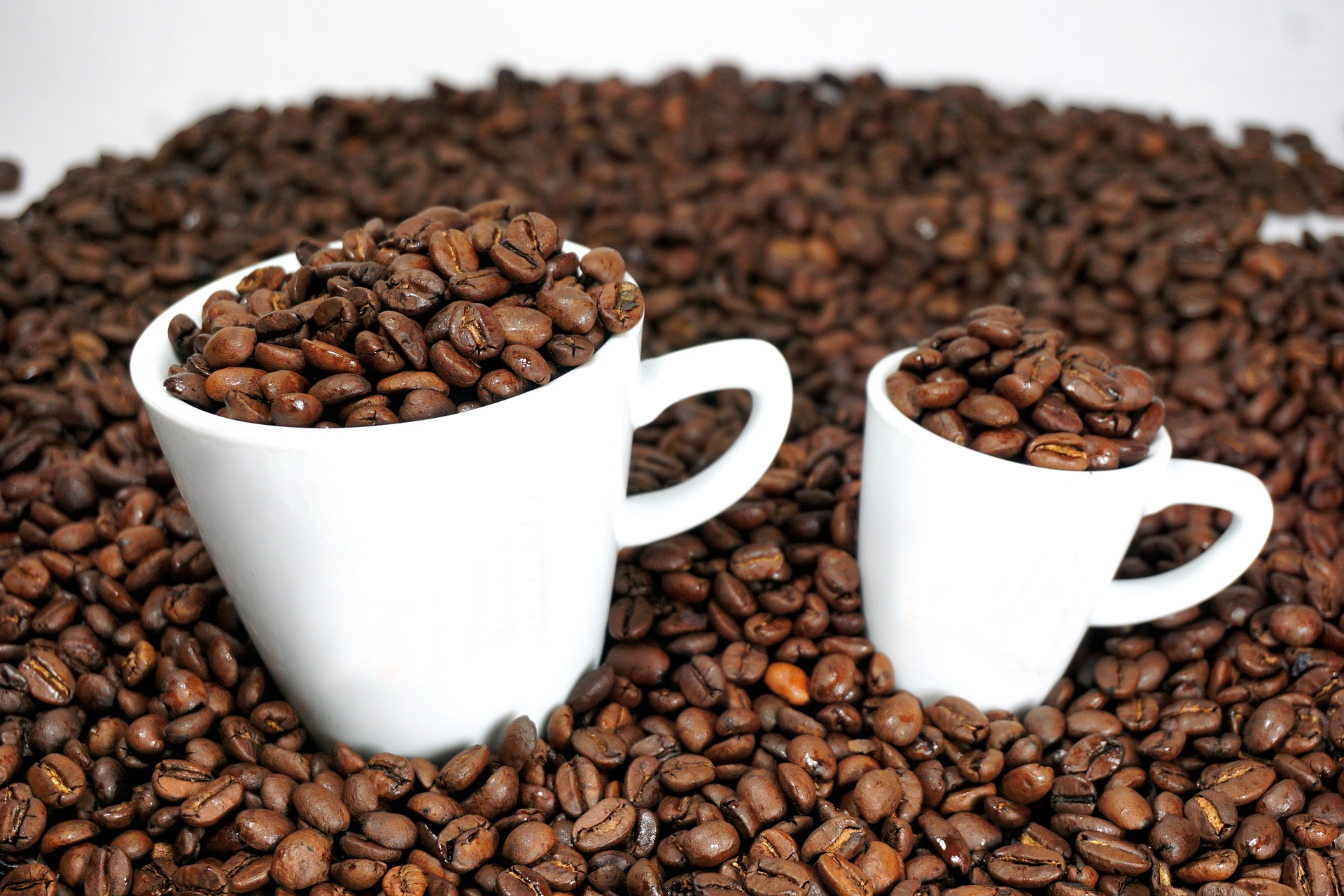 Coffee and espresso bean