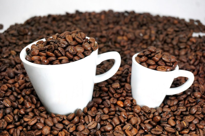 Coffee and espresso bean