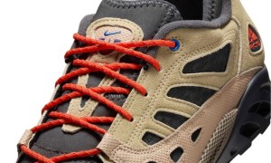 close up on shoe laces and tongue