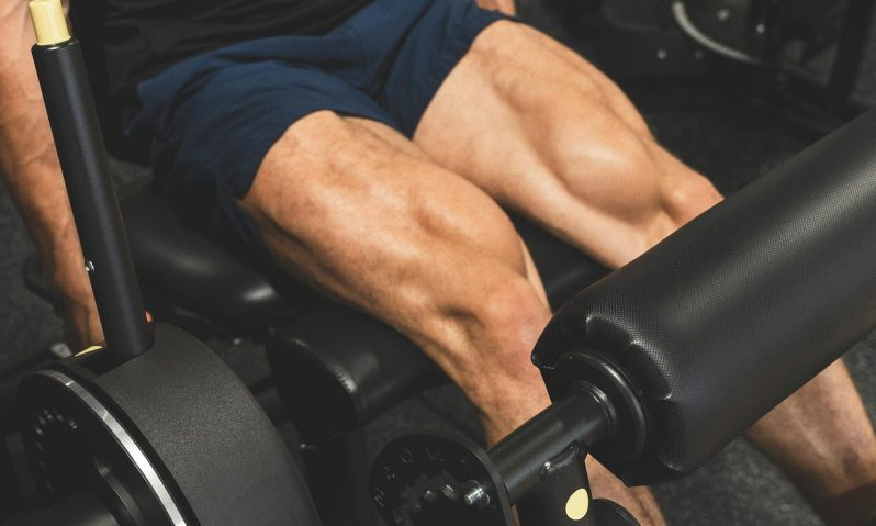 quads muscles legs leg press knee extension machine gym close up