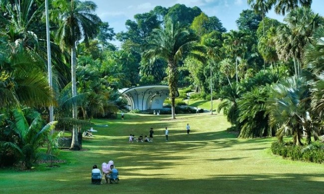 Singapore Botanic Gardens
