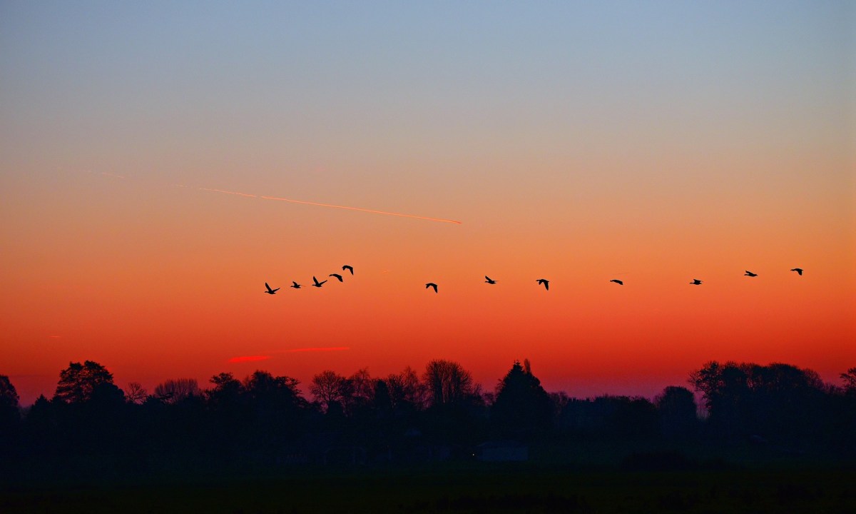 Sunrise