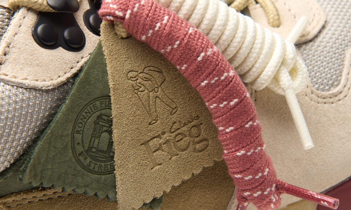 closeup on shoe details